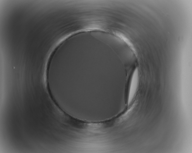 X0000089731469200707051730