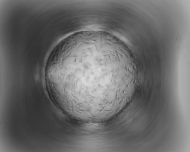 X0000089731470200707051730