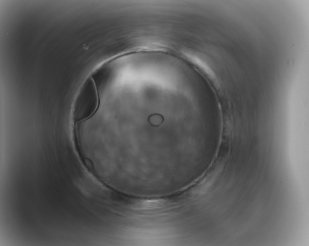 X0000089731471200707051730