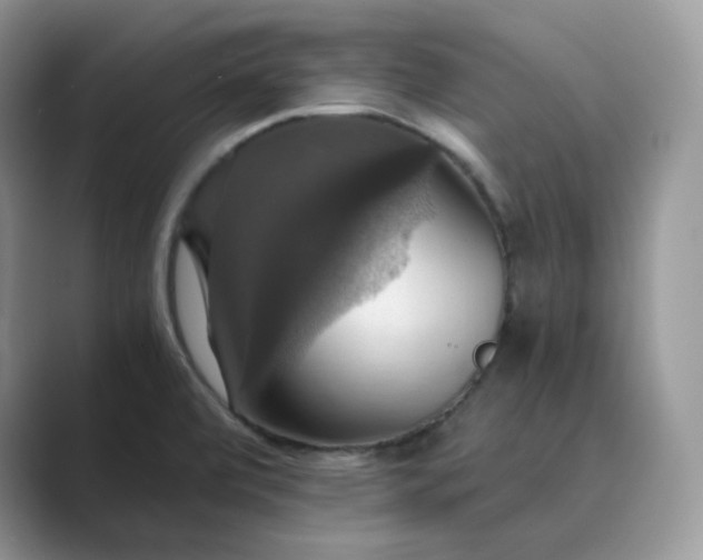 X0000089731472200707051730