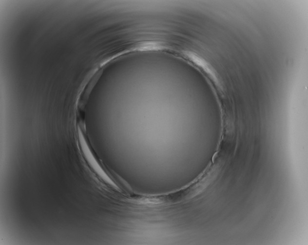 X0000089731473200707051730