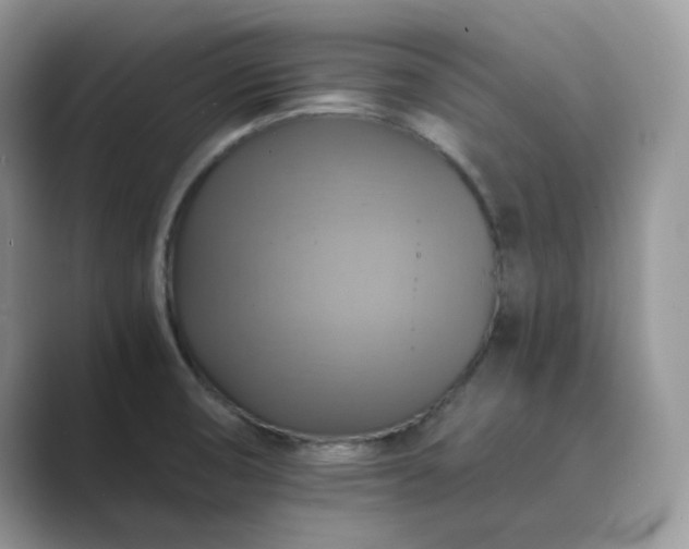 X0000089731474200707051730
