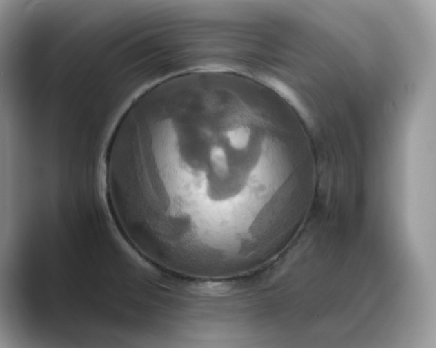 X0000089731476200707051730