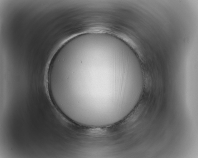 X0000089731478200707051730