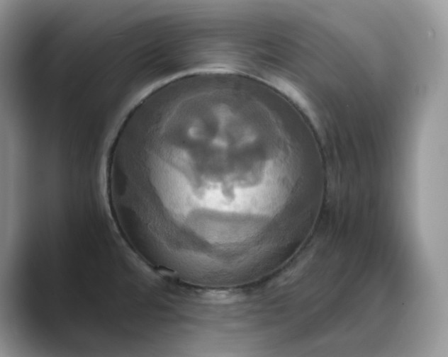X0000089731480200707051730