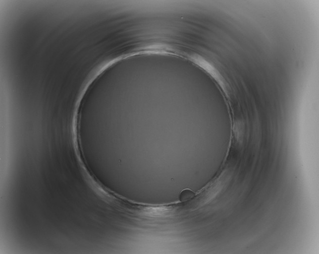 X0000089731482200707051730
