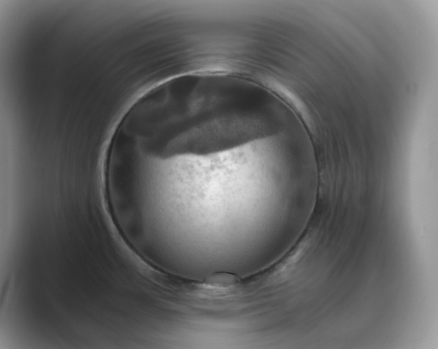 X0000089731483200707051730