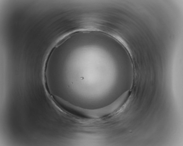 X0000089731485200707051730