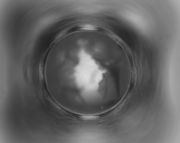 X0000089731487200707051729
