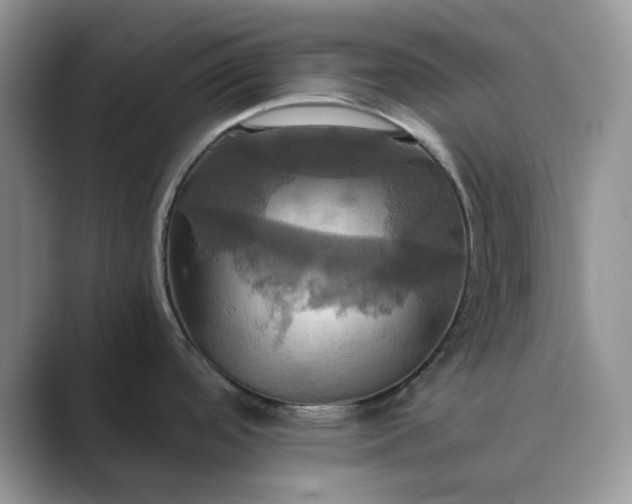 X0000089731488200707051729