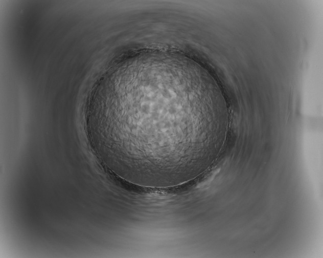X0000089731489200707051729