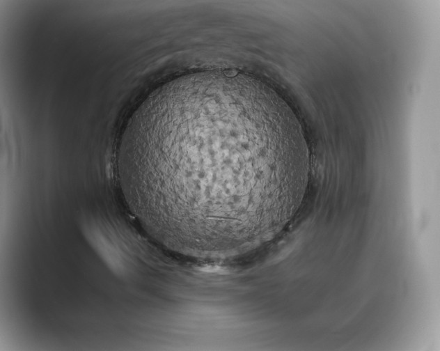 X0000089731490200707051729