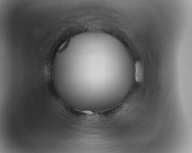 X0000089731491200707051729