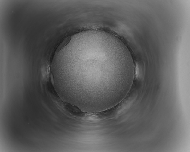 X0000089731492200707051729