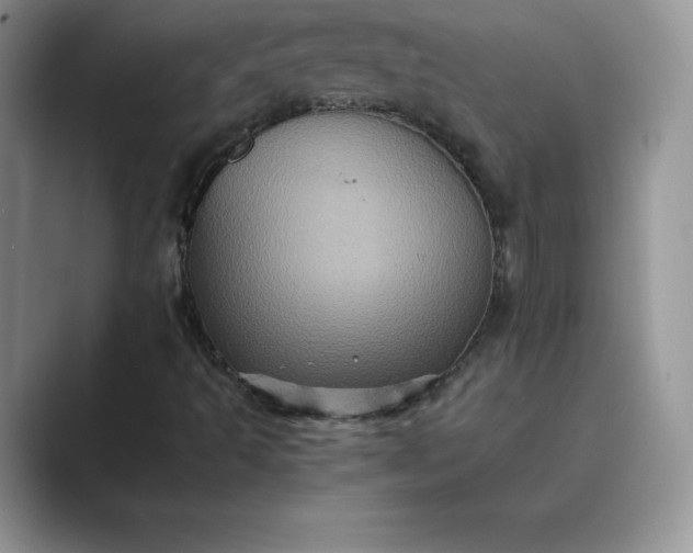 X0000089731493200707051729