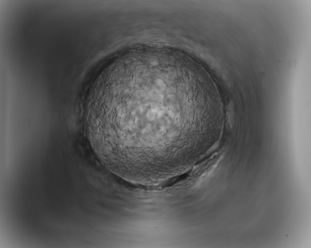 X0000089731494200707051729