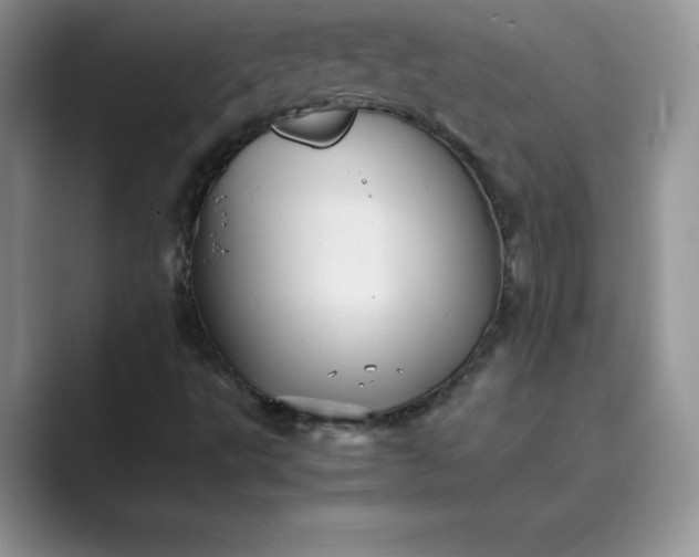 X0000089731495200707051729