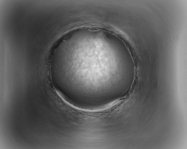 X0000089731496200707051729