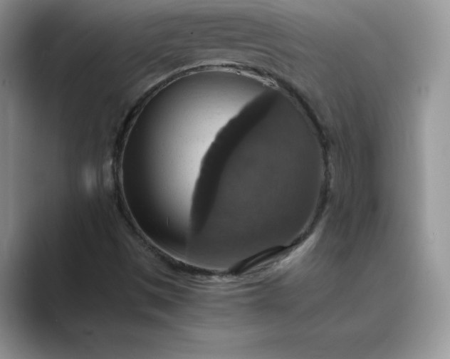 X0000089731497200707051729