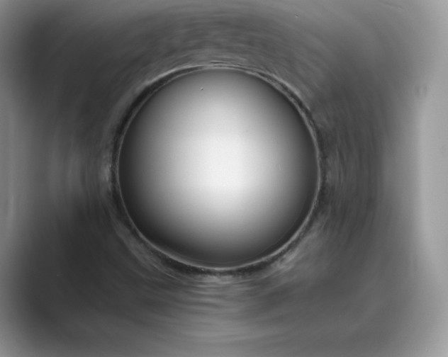 X0000089731499200707051729