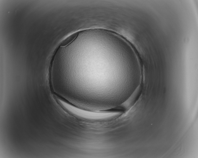 X0000089731500200707051729