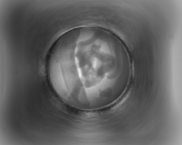 X0000089731501200707051729