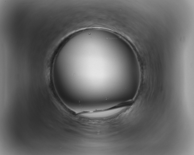 X0000089731503200707051729
