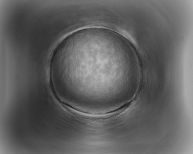 X0000089731504200707051729