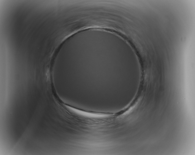 X0000089731505200707051729