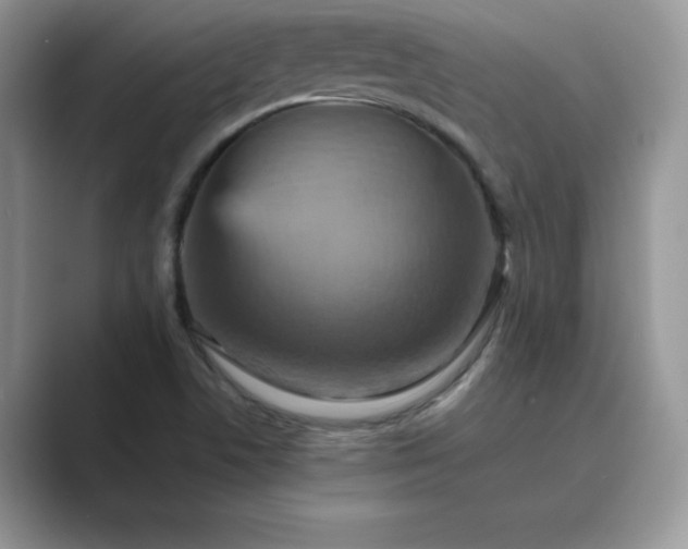 X0000089731506200707051729
