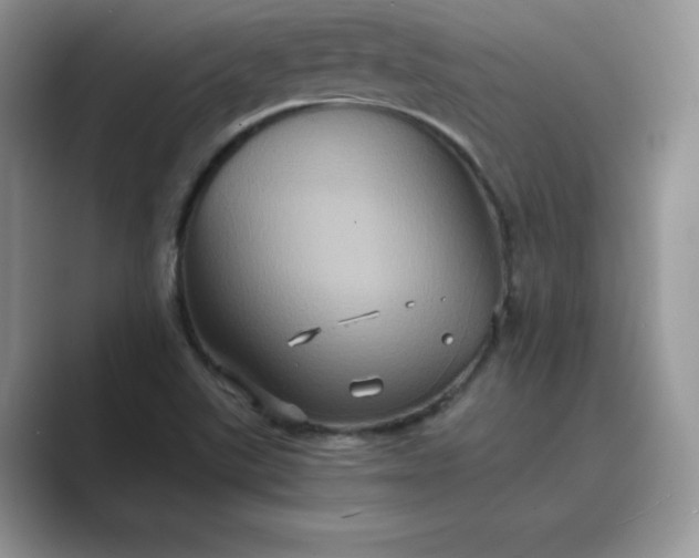 X0000089731507200707051729