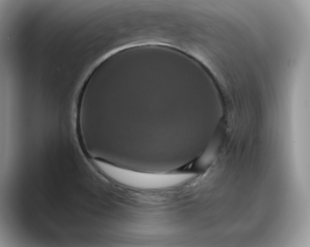 X0000089731508200707051729