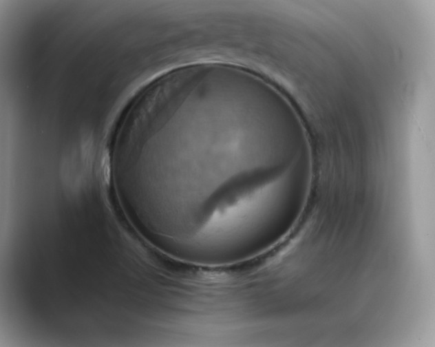 X0000089731509200707051729