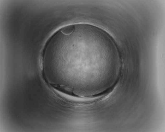 X0000089731510200707051729