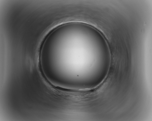 X0000089731511200707051729
