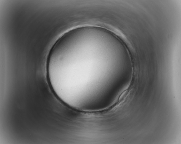 X0000089731512200707051729