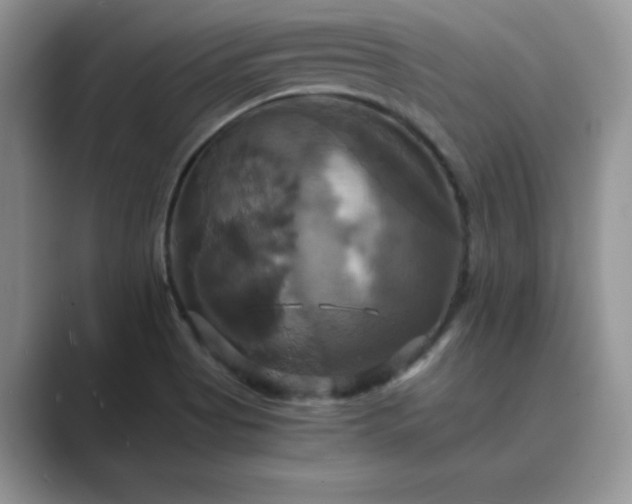 X0000089731513200707051729