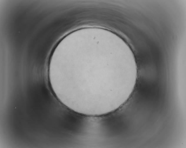 X0000089731514200707051729
