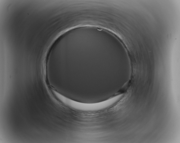 X0000089731515200707051729