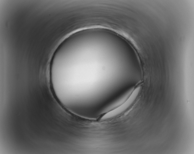 X0000089731516200707051729