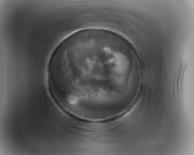 X0000089731517200707051729