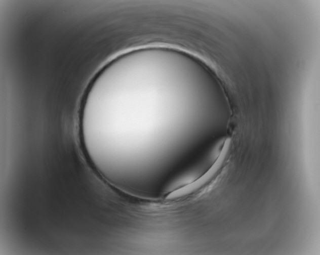 X0000089731518200707051729