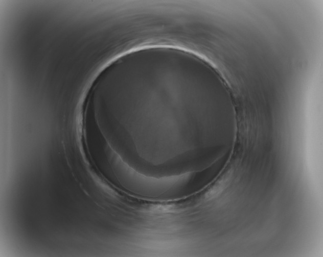 X0000089731519200707051729