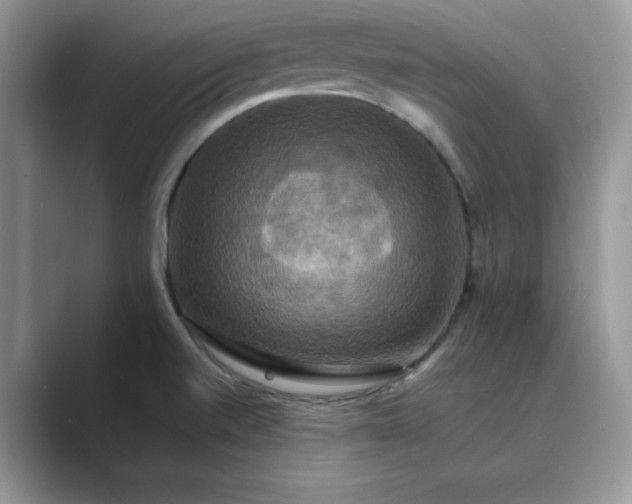 X0000089731520200707051729