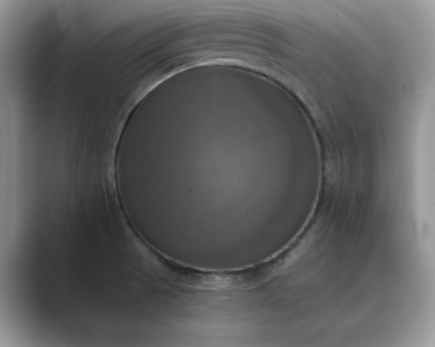 X0000089731521200707051729