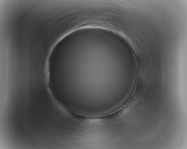 X0000089731522200707051729