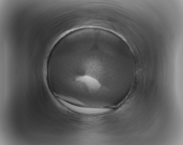 X0000089731523200707051729