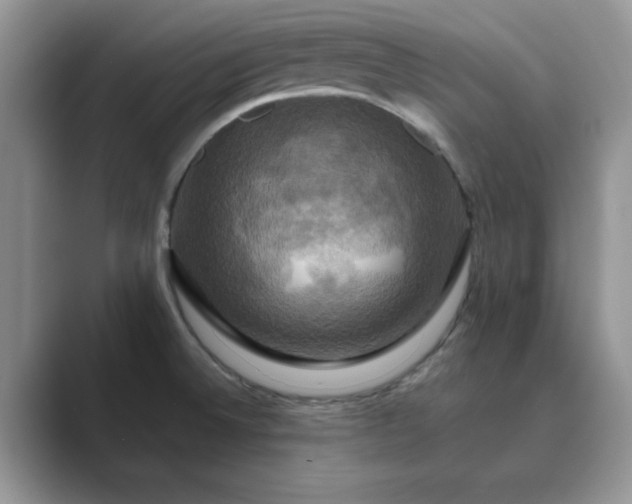X0000089731524200707051729