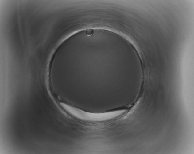 X0000089731525200707051729