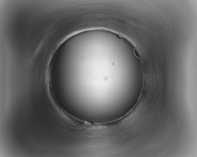 X0000089731526200707051729